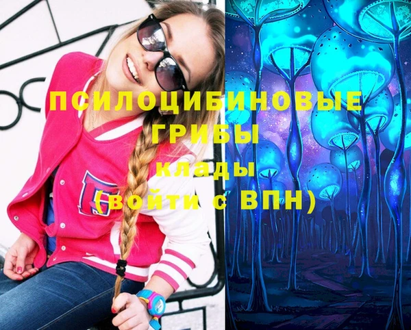 герыч Верхний Тагил