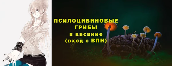 герыч Верхний Тагил
