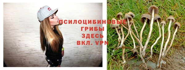 гидропоника Верхнеуральск